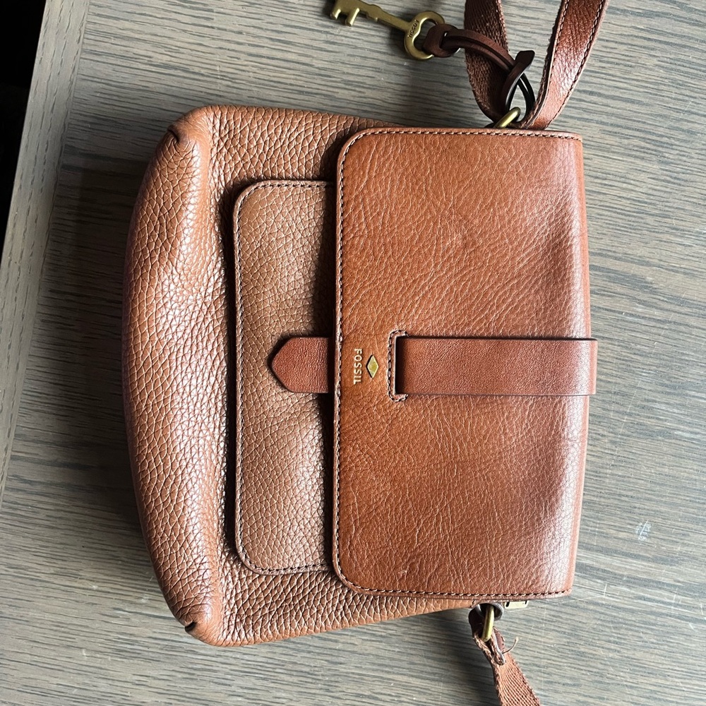Brown Small Fossil Purse